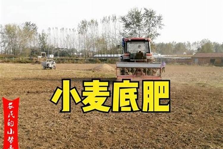小麦底肥施足的依据是什么 不同产量小麦底肥的施用方案