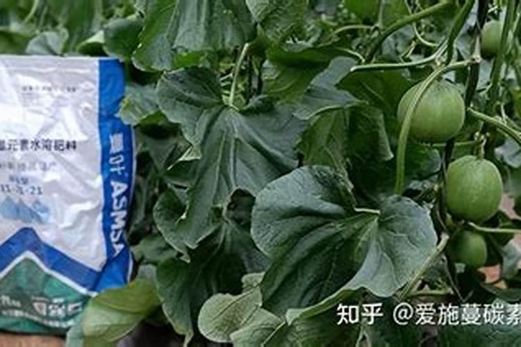 水溶肥为什么吸收比复合肥快