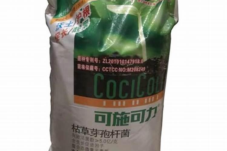 种植花生适合施用什么肥料