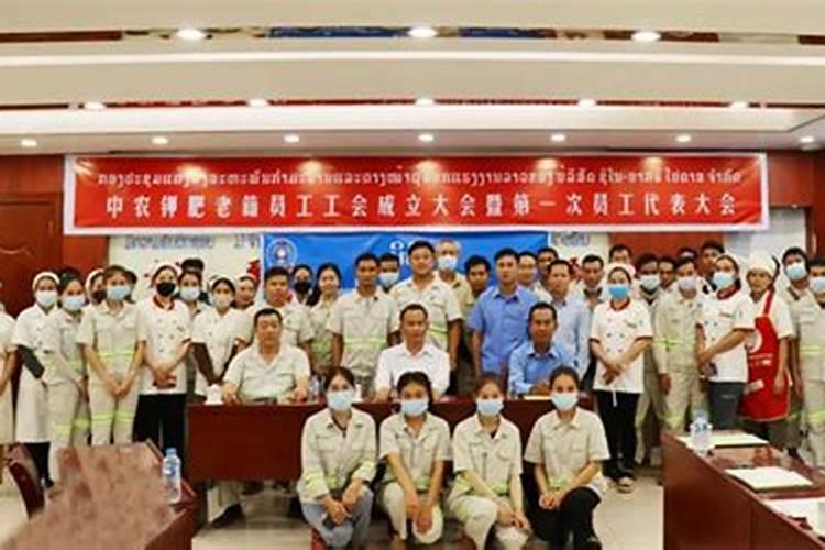 哈密瓜常年重茬用什么肥料基肥？