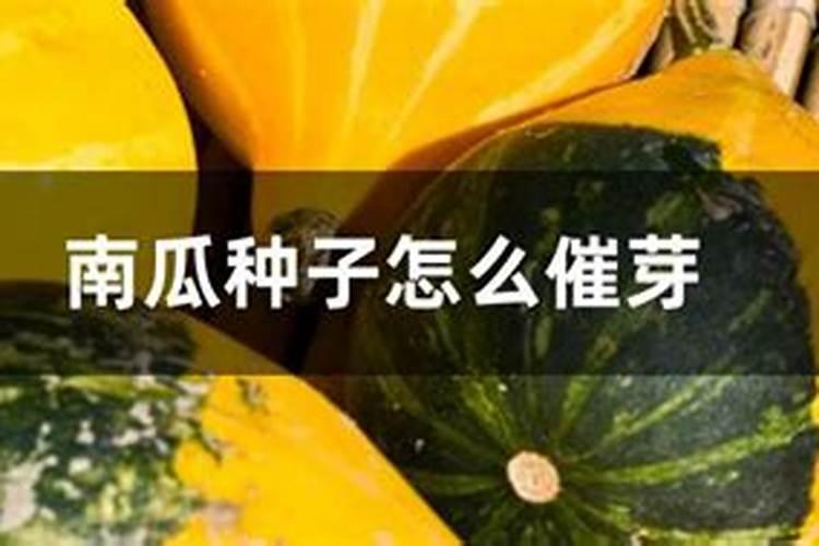 二氧化钾公式是什么