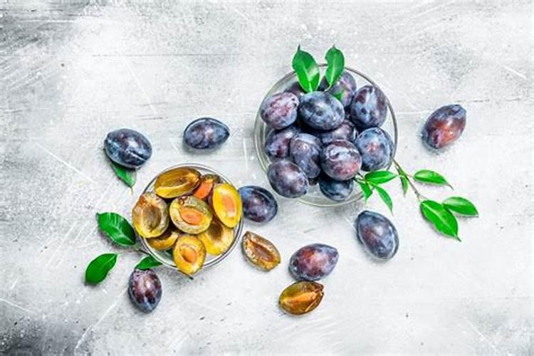 种植西梅李子田园种植好还是旱地种植好？