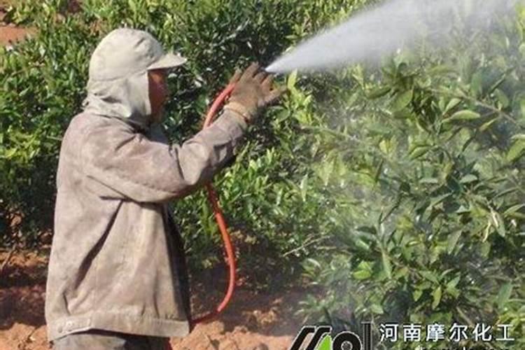 种植猕猴桃缺氮的危害症状!猕猴桃缺氧的防治措施!