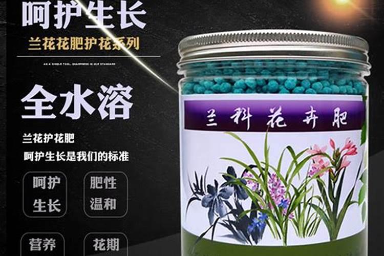 春兰怎么养会开花 怎么养春兰会开花