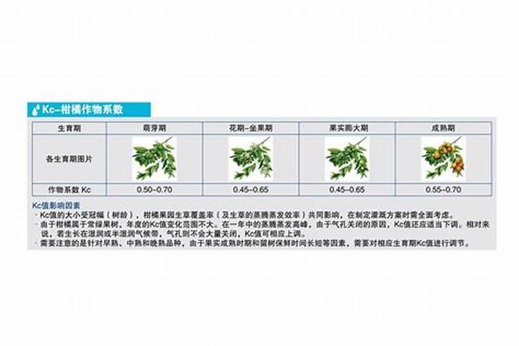 柑橘在落果结束之后,应该怎么样进行水肥管理？