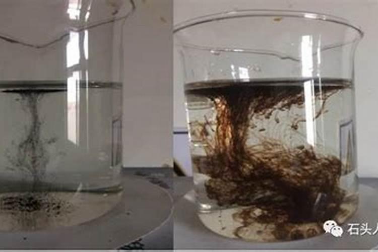 固氮植物能固氮的原理