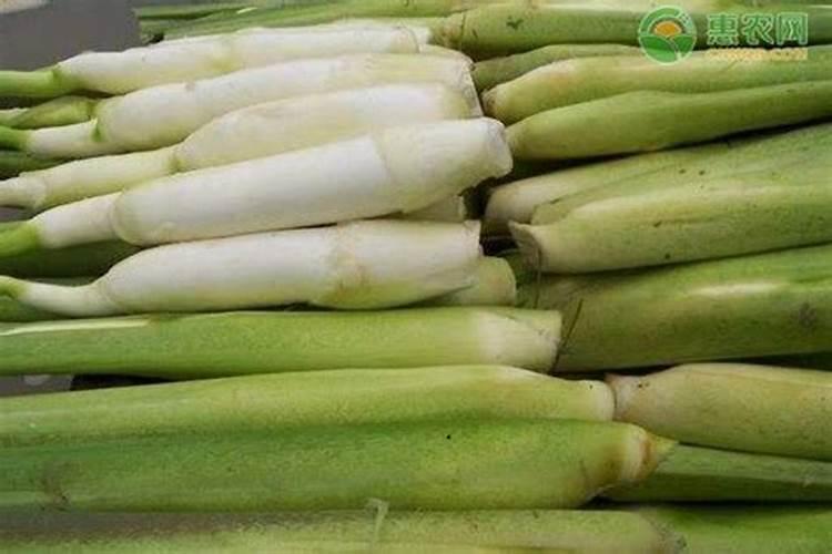 茭白可喷硼肥吗？