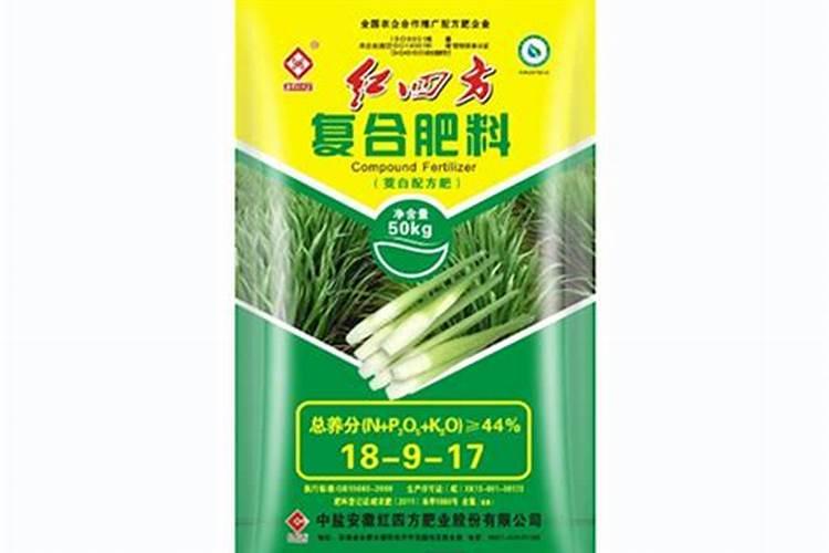 种植茭白需要哪些条件