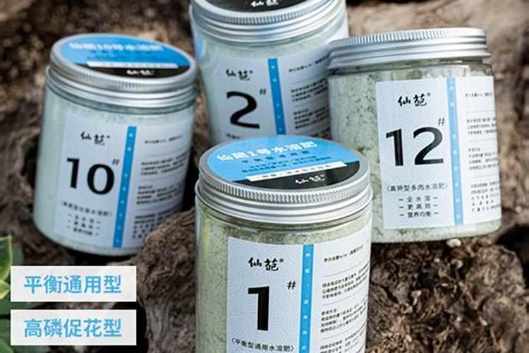 南昌最大的蔬菜批发市场