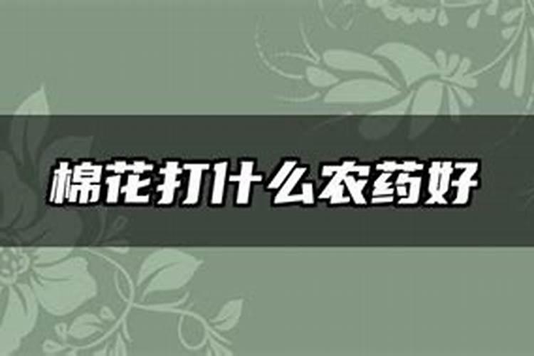 棉花打顶后喷施的最好的叶面肥