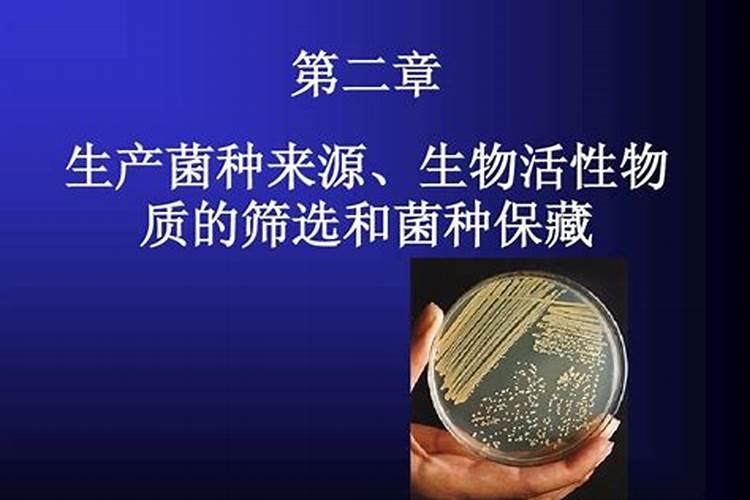 生姜用什么肥料才高产 附施肥方法