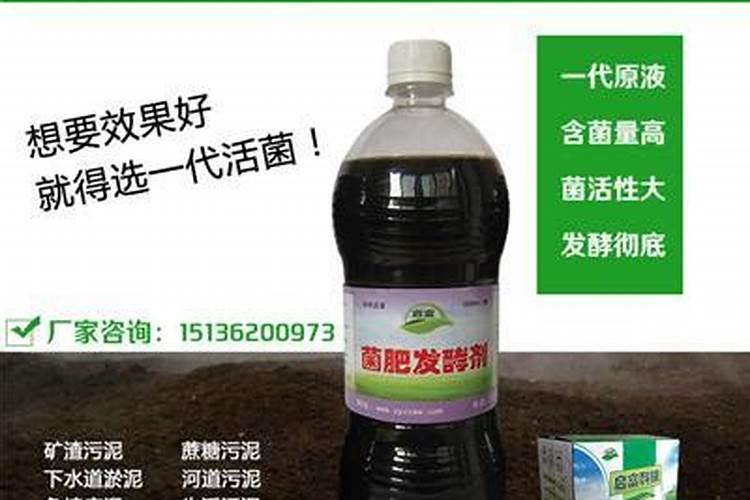 叶面肥喷施时间及叶面追肥技术要点