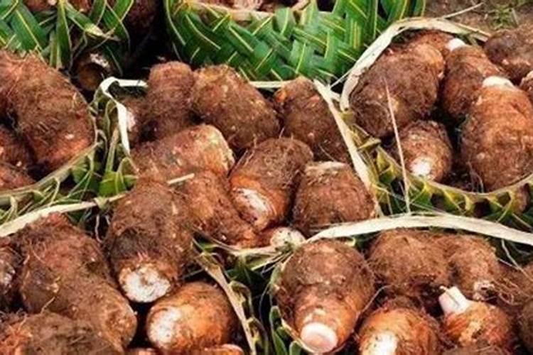 种植牧草需要什么肥料