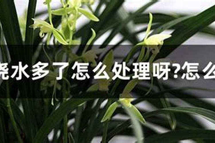 营养液的正确使用方法浇花