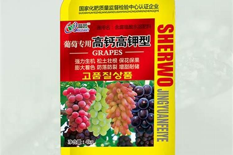 葡萄缺钙的症状和治疗方法(葡萄缺钙是什么原因造成的)