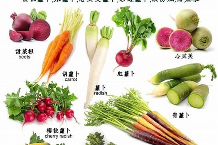 萝卜施什么肥好
