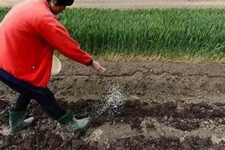 复合肥的最佳使用方法