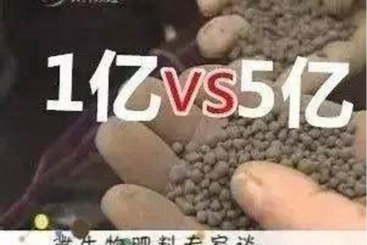 含腐植酸水溶肥最多可以做到多大含量
