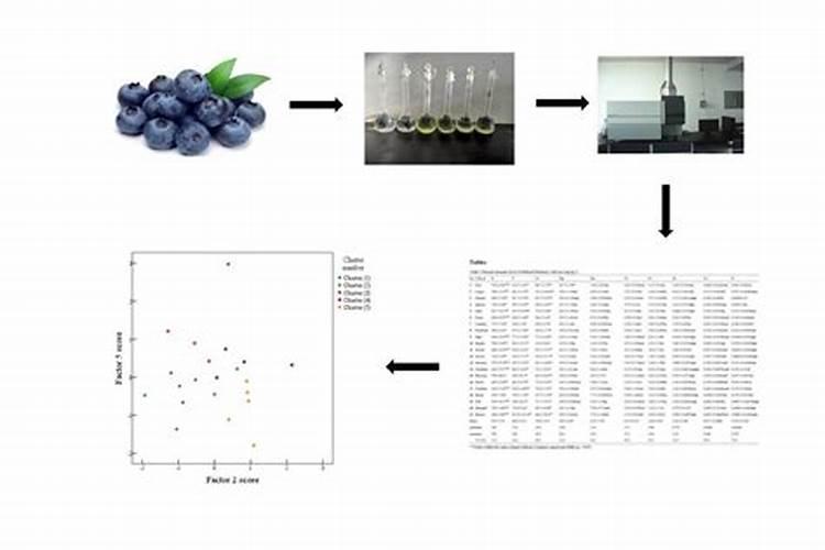 蓝莓用什么肥料