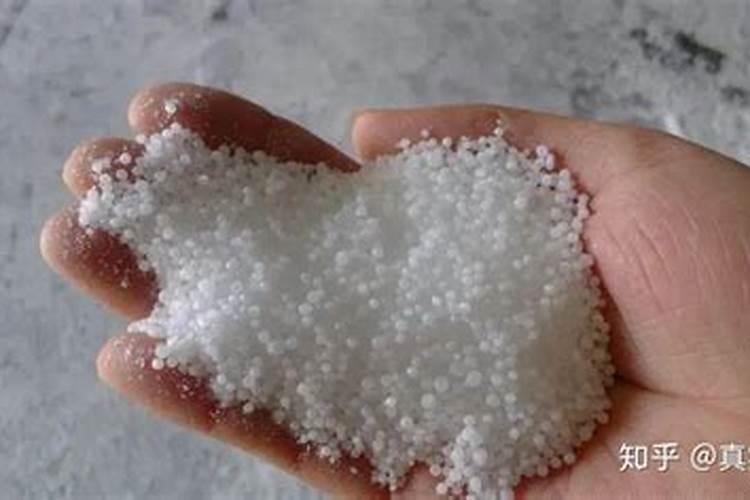 水稻苗床浇水标准