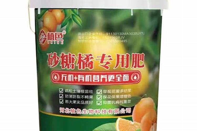 挂果沙糖桔怎样施肥 用什么肥料效果好