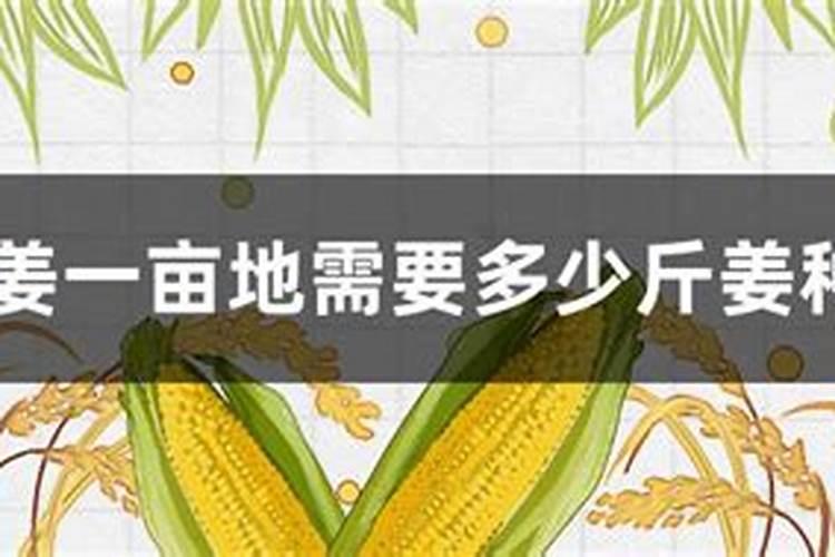 大姜苗不好应该冲什么肥
