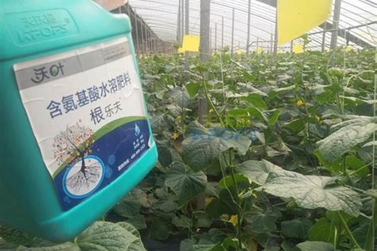 硫酸钾要采用何种正确方式使用