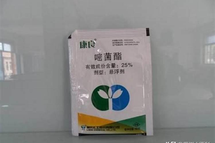 钾肥是属于碱性肥料吗？