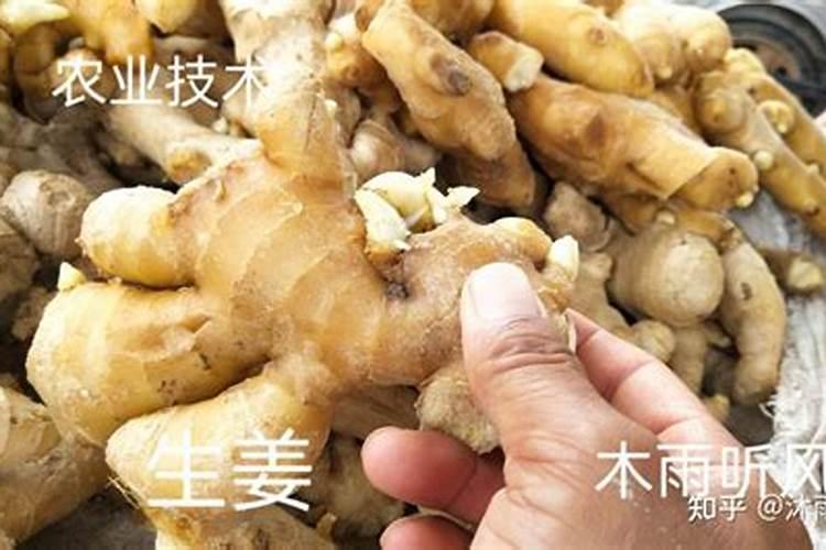 控释肥和缓释肥的区别