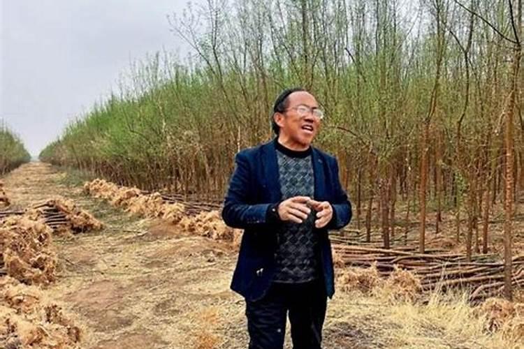 花生花针期管理技巧 花生怎么养殖