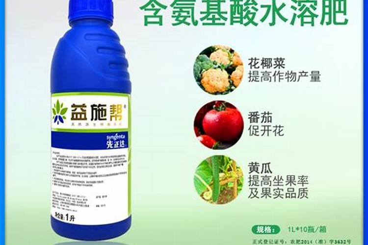 早熟禾氮肥过多叶尖发黄