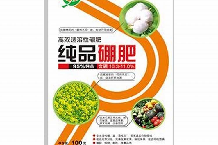 长豆角开花期喷什么药不掉花