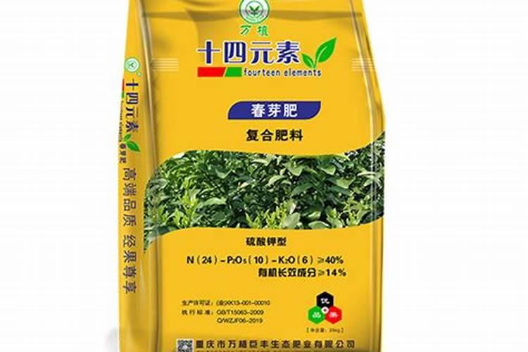 蟹爪兰多开花的养护秘诀分享