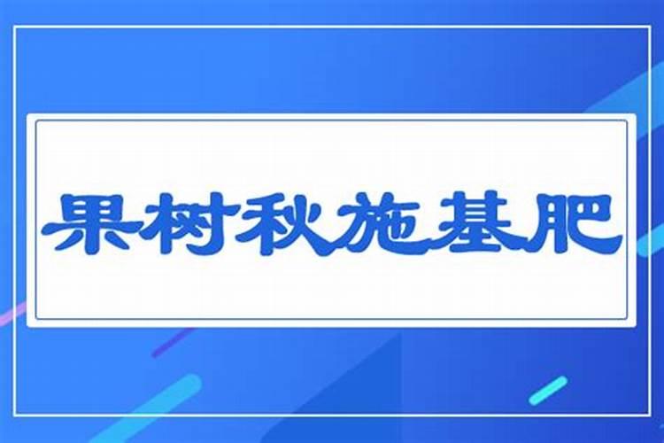 月季施肥的最佳时间 月季施肥什么时候好