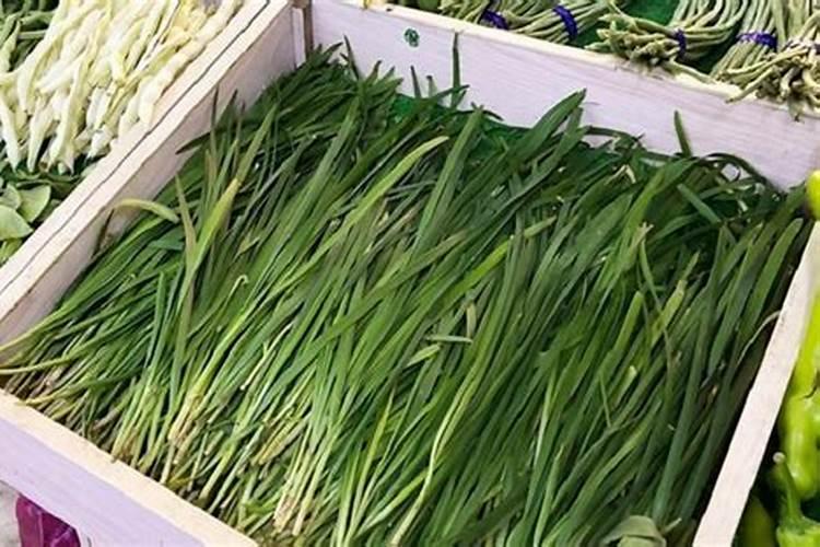 韭菜用什么肥料长得好