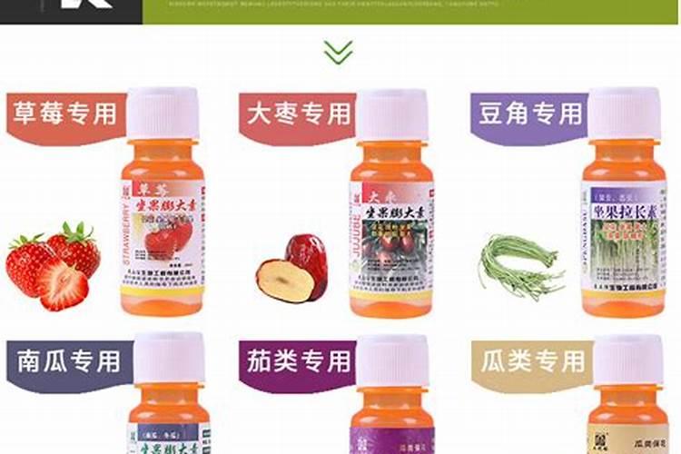 开花期间可以施肥吗