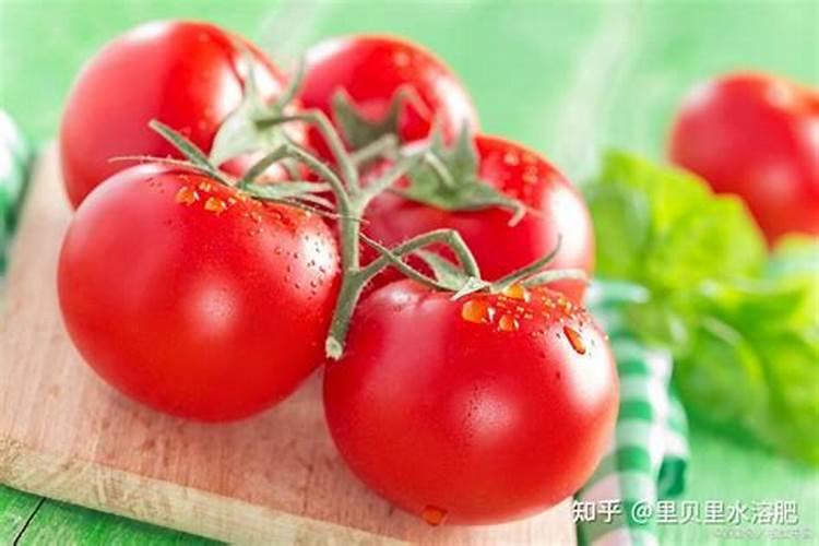 葡萄用什么肥料好