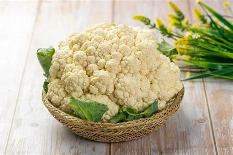 植物缺钙怎么解决？什么钙肥补充效果更好？