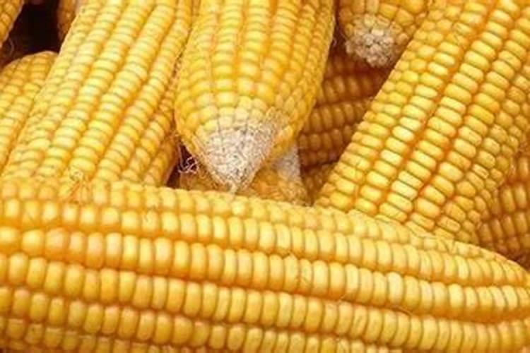红四方玉米专用复合肥多少钱一吨？