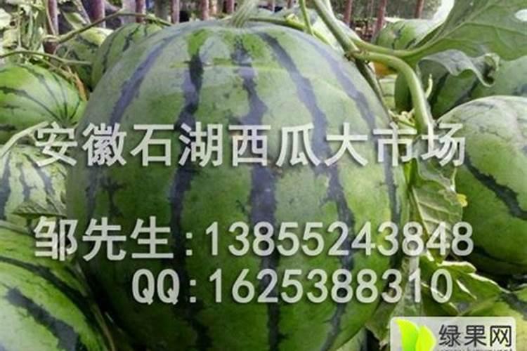 足力健产品的优势是什么？
