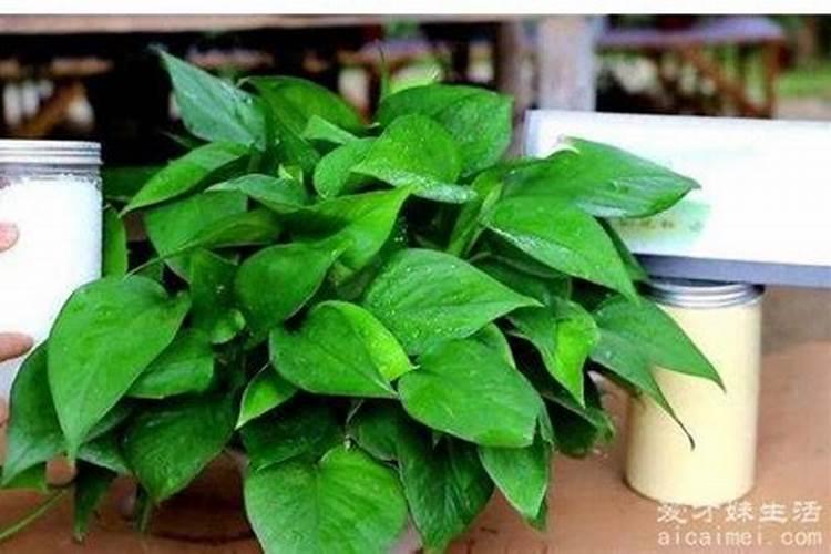 如图表示油菜种子成熟过程中各种有机物的变化情况(1表示可溶性糖,2表示...