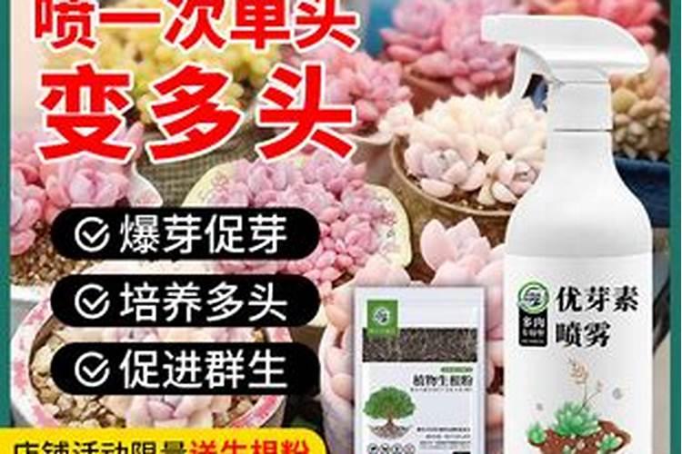 叶面肥是什么肥料 给你详细讲解