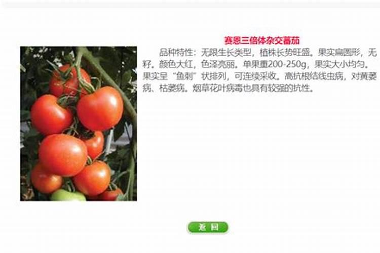 磷酸二铵是水溶肥料吗？可以做追肥吗？