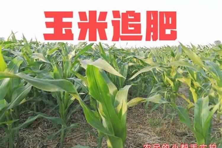 拉多美硫酸钾复合肥适用作物