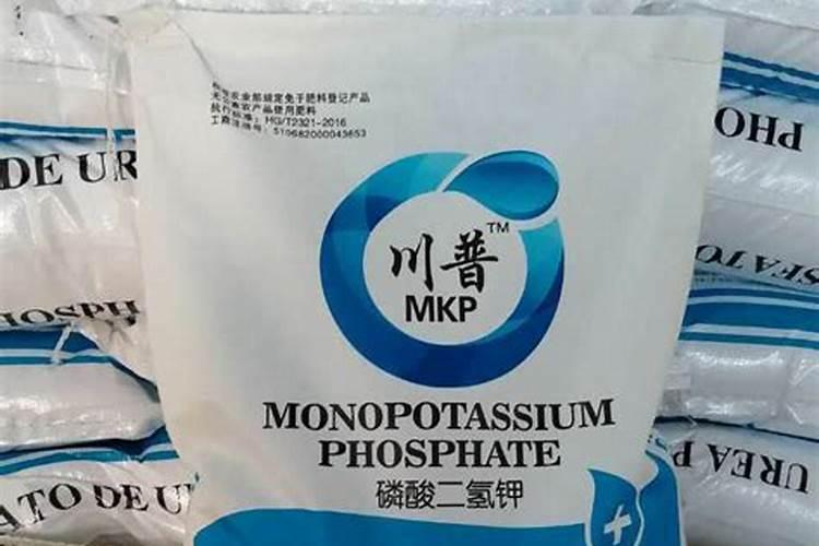 西红柿僵果如何膨大