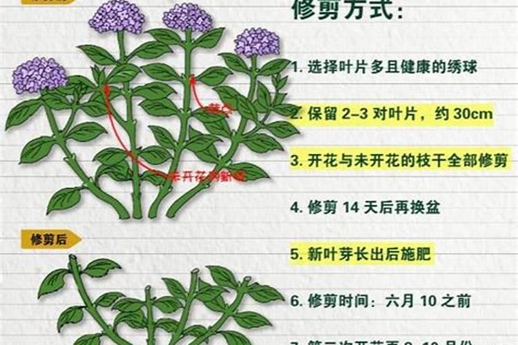 种植甘蔗,要想甘蔗长得好,实现高产,应该怎样施肥？