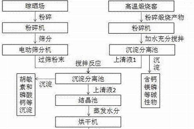 铁树每年都会长新叶吗？