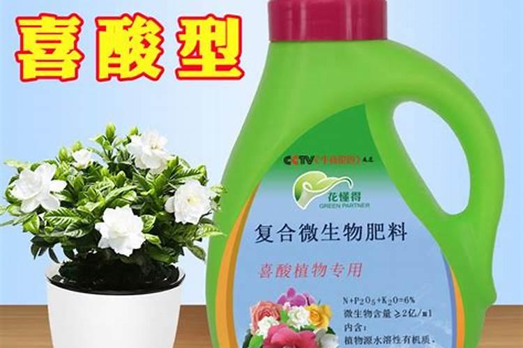 辣椒打什么药可以保花保果