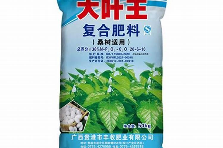 澳洲杉怎么施肥