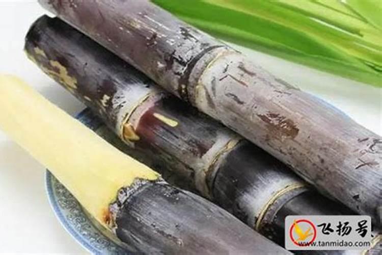 种黑皮甘蔗要施几次肥 如何施肥才高产